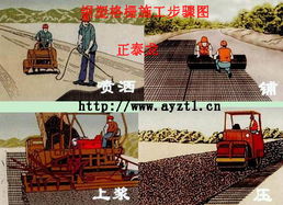 鋼塑網與土工格柵 廣東東莞礦用產品與河南安陽正泰龍應用解析
